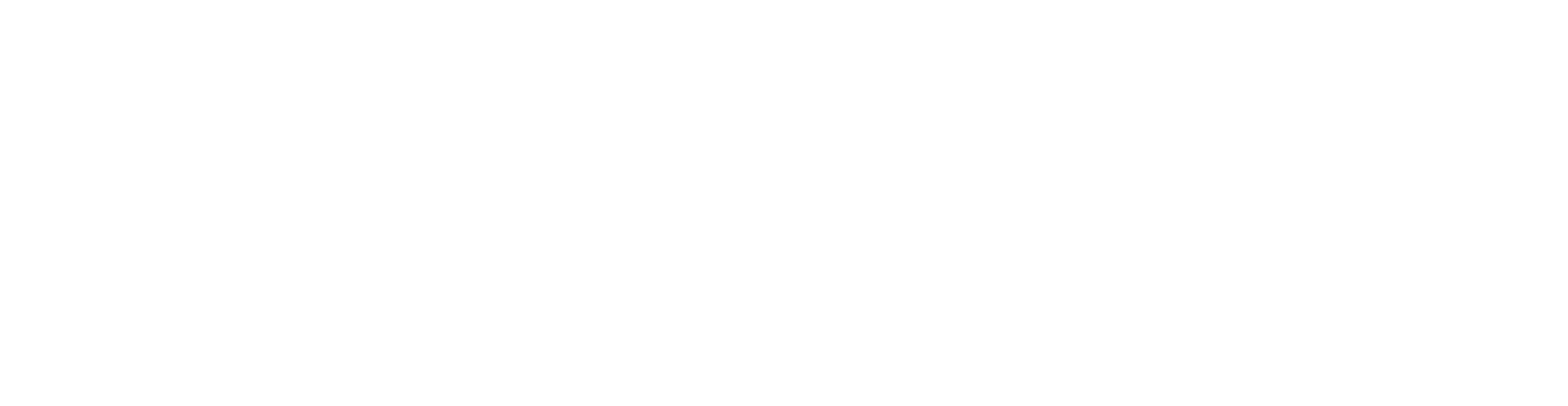 Veros logo